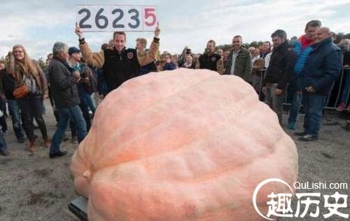 1525339233273763.png image.png