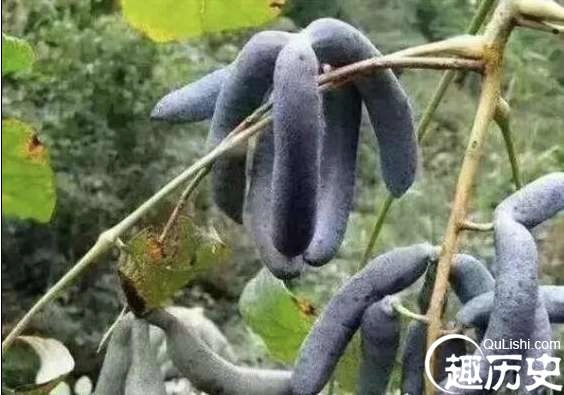 1525338397444379.png image.png