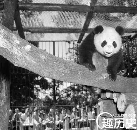 1525402026561419.png image.png