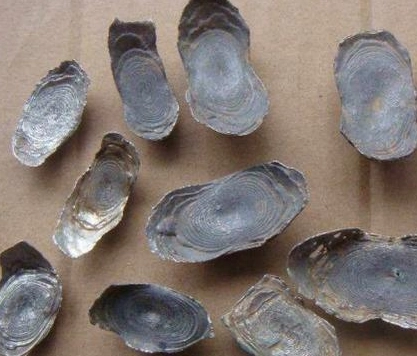 1660702495349453.png image.png