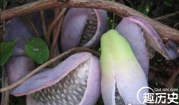 1525338412600830.png image.png