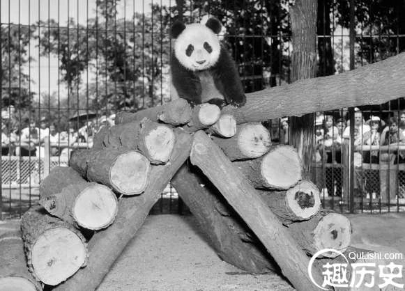 1525401972251588.png image.png