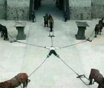 1652329532543995.png image.png