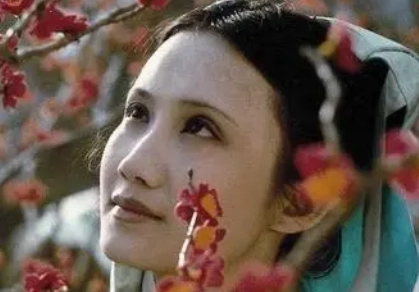 1667962816471077.png image.png