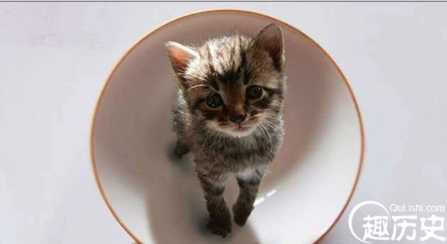 1524903084905392.png image.png