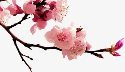 1660880491222479.png 图片.png