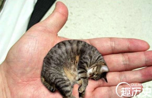 1524903069536139.png image.png