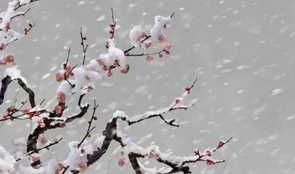 1660880476229301.png 图片.png