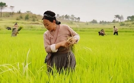 1660296047875955.png image.png