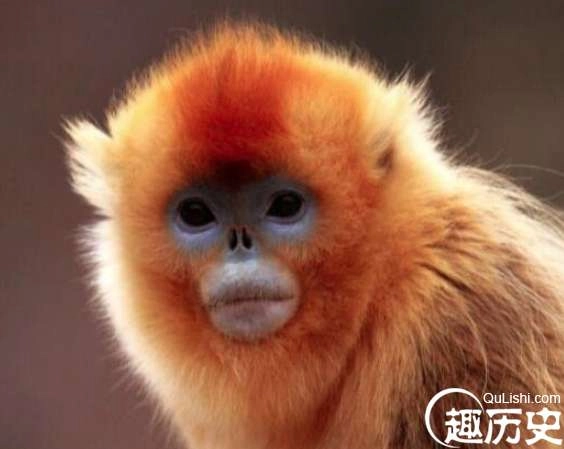 1524648484297068.png image.png