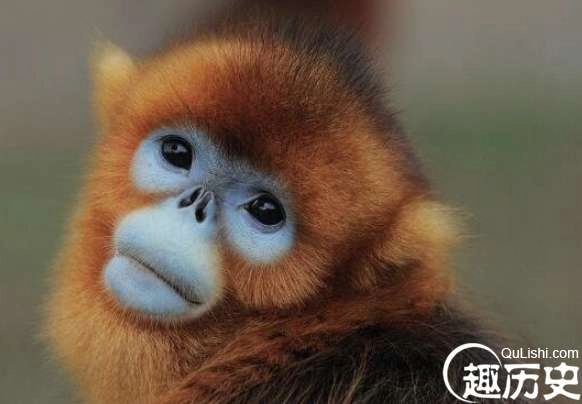 1524648489985393.png image.png