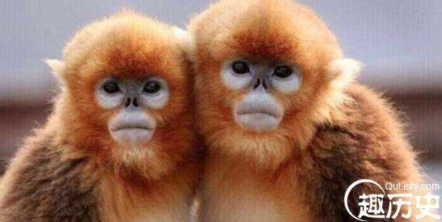 1524648469146912.png image.png