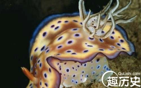 1524561195556822.png image.png