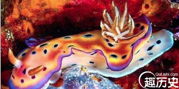 1524561206233739.png image.png