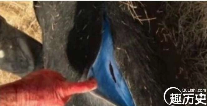 1524215106349907.png image.png