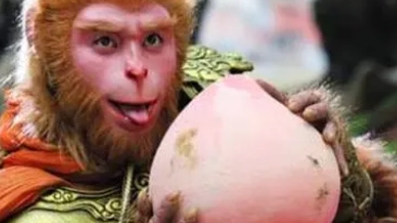 1667874390784693.png 图片.png