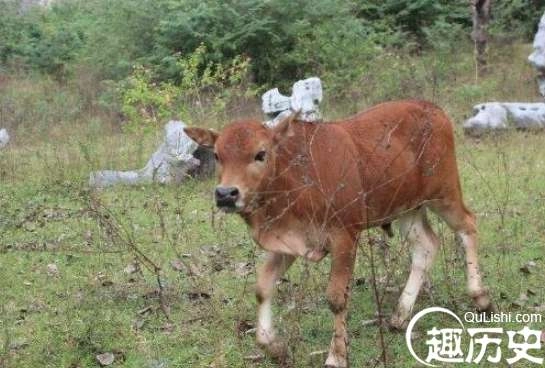 1524473194805636.png image.png