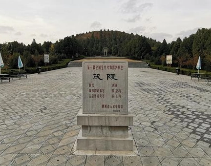 1652081021918504.png image.png