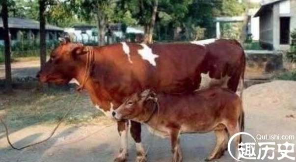 1524473180500529.png image.png