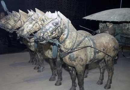 1652081027271130.png image.png