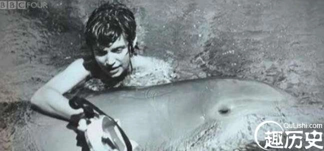 1524472932311337.png image.png