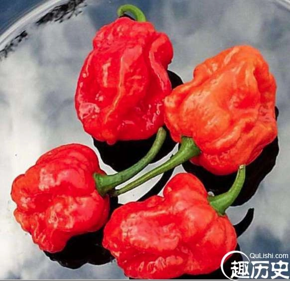 1524215681187108.png image.png