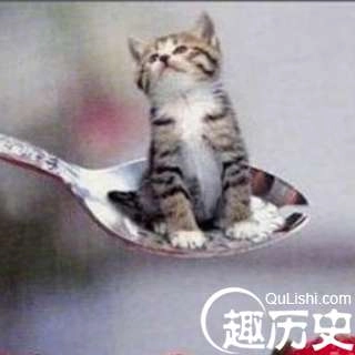 1524128699282737.png image.png