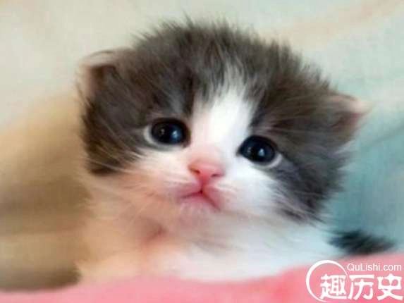 1524128703366496.png image.png