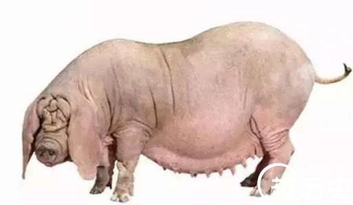 1524109482383590.png blob.png