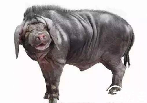 1524109451865903.png blob.png