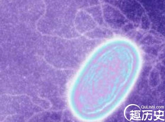 1524042805140310.png image.png