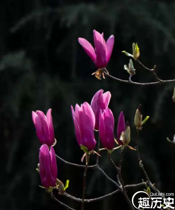 1523843127802249.png blob.png