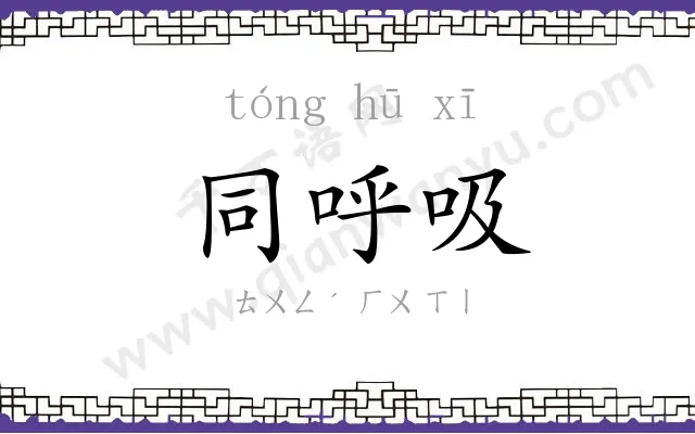 同呼吸 同呼吸