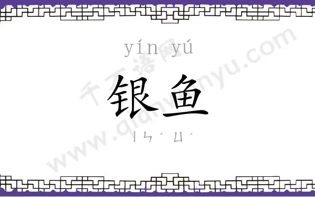银鱼 银鱼