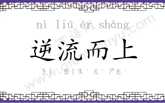 逆流而上 逆流而上