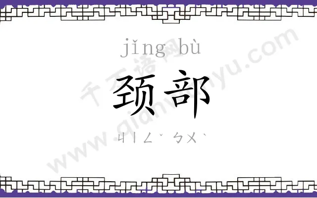 颈部 颈部