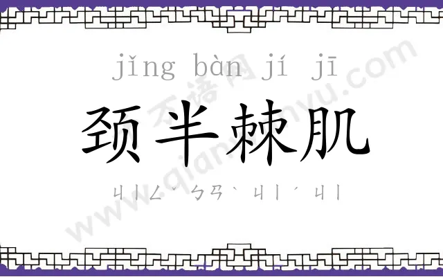 颈半棘肌 颈半棘肌