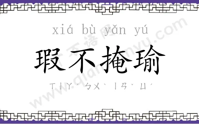 瑕不掩瑜 瑕不掩瑜