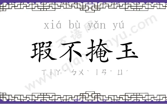 瑕不掩玉 瑕不掩玉