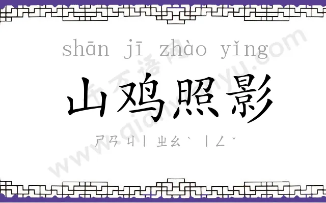 山鸡照影 山鸡照影