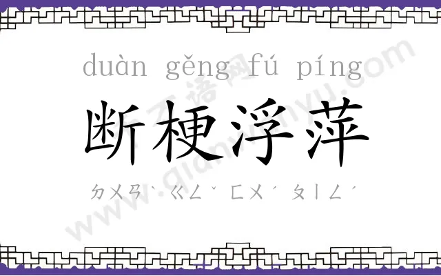 断梗浮萍 断梗浮萍