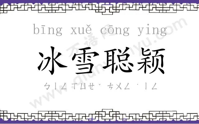 冰雪聪颖 冰雪聪颖