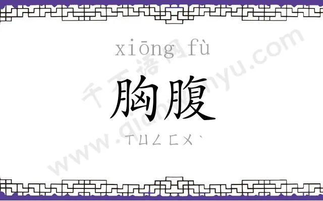 胸腹 胸腹