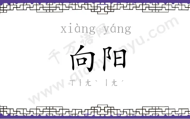 向阳 向阳