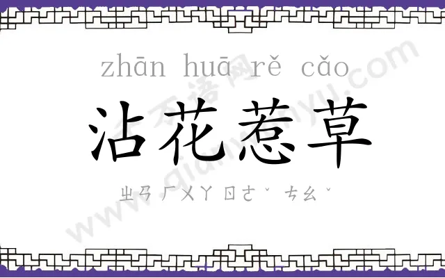 沾花惹草 沾花惹草