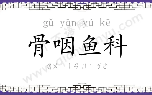 骨咽鱼科 骨咽鱼科