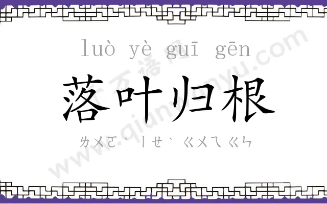 落叶归根 落叶归根