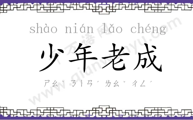 少年老成 少年老成