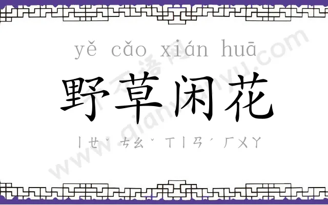 野草闲花 野草闲花