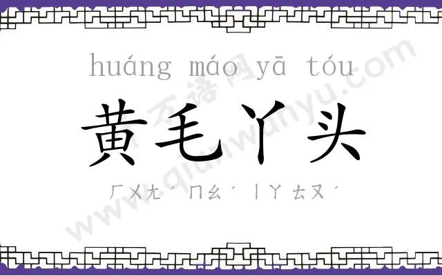 黄毛丫头 黄毛丫头